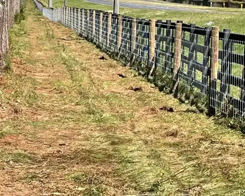 Long run of durable chain-link fencing on a Valdosta-area commercial lot
