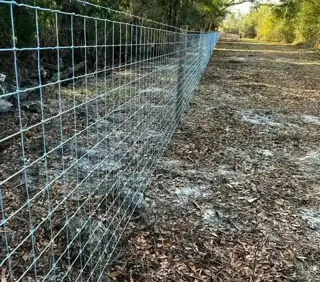Wide chain-link drive gates on a fenced commercial yard