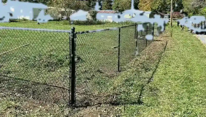 Residential chain-link fence on a flat Valdosta backyard with pines