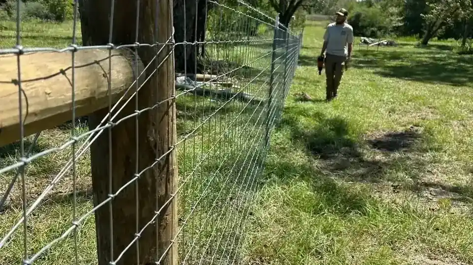 Chain-link fence panels on a Lakeland, Georgia lot east of Valdosta