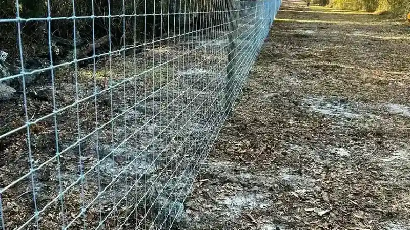 Chain-link fence and gate on an open Lakeland, Georgia property in Lanier County