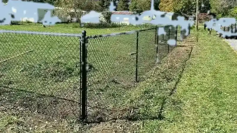 Residential chain-link fence on a Statenville, Georgia property